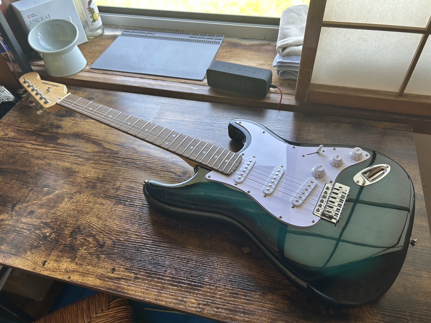 SELDERstratocaster